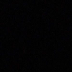 Meet your Posher, Bailey